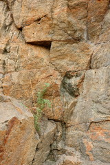 Abstract granite background, texture from another planet, Martian surface, stone background for designer, brown pattern of extraterrestrial life, granite, texture from the future, minimalism, granite 