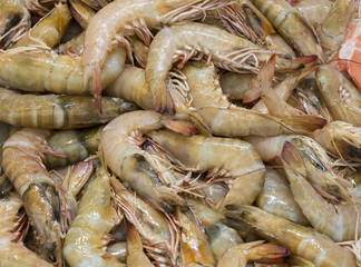 Background of fresh seafood shrimp close-up on the market