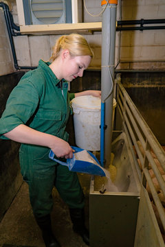 Schweinehaltung, junge Frau beim Zumischen von Futterkomponenten