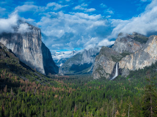 Fototapeta premium OLYMPUS DIGITAL CAMERA