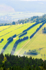 Hill slope covered with green grass and spruce trees in the Owl Mountains, Sudetes, Poland. Farmland landscape with fields and meadow aerial view.