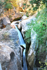 Little stream among rocks in a forest in Dirfi mountain in Greece