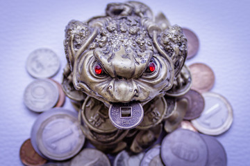 Golden frog figurine on coins