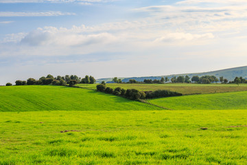 Naklejka premium Krajobraz Green Sussex