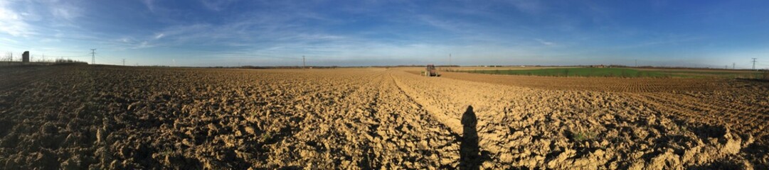travaux agricole