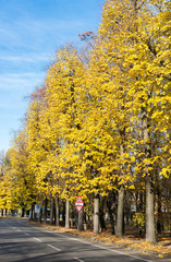 Autumn colours in Northern Italy