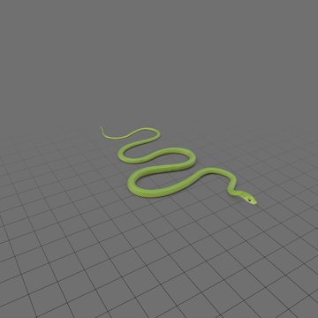 Slithering green snake