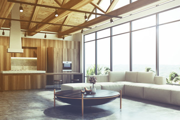 Loft living room and kitchen toned