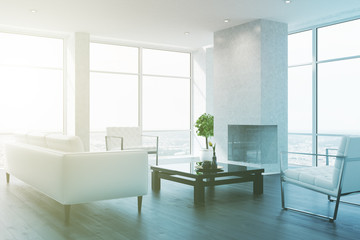 White living room interior toned