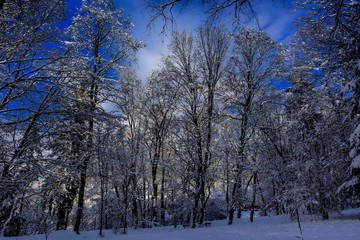 Zima w parku. Przemyśl © Pawel Gruntowicz