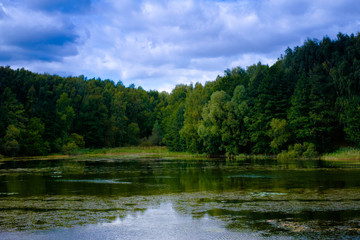 Fototapeta na wymiar Rural Sunny Water Pond Scene