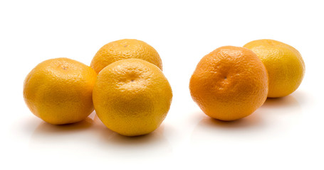 Five tangerines isolated on white background.