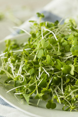 Healthy Raw Organic Microgreens