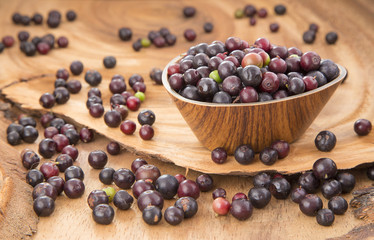 Agráz tropical fruit (Vaccinium meridionale)