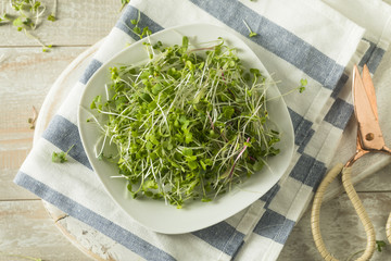 Healthy Raw Organic Microgreens