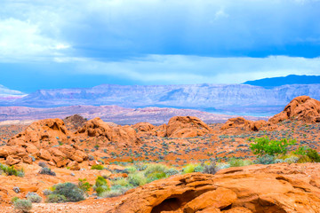 The Valley of Fire State Park, USA.