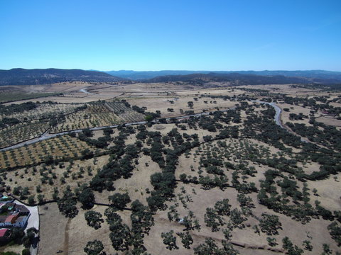 Campos de Cumbres de Enmedio, municipio español de la provincia de Huelva (Andalucia,España)