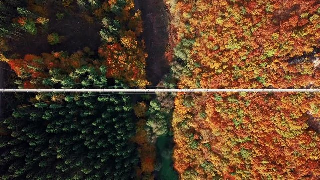 Aerial view of people walking on Suspension footbridge Geierlay (Hangeseilbrucke Geierlay), Germany
