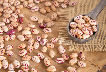 Pinto beans (Phaseolus vulgaris)