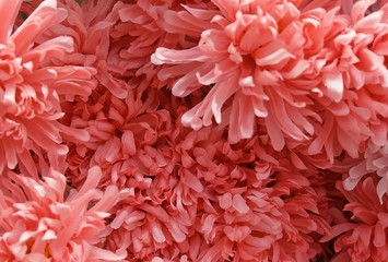 Background of Artificial Orange Chrysanthemum Flowers