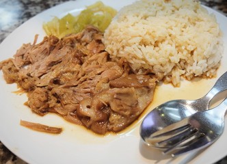 Five Spice Stew with Pork Leg on Rice