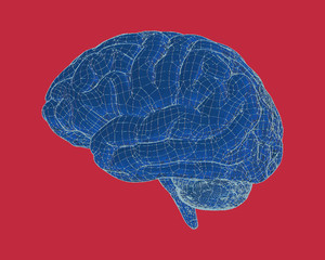 Blue drawing brain with wireframe illustration