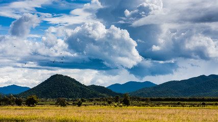Fototapeta premium a grassy field with a few trees and a mountain range in the distance. There are fluffy white clouds in a blue sky and some birds flying overhead.
