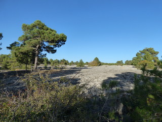 Ciudad encantada,paraje natural en la serriania de Cuenca, Castilla la Mancha