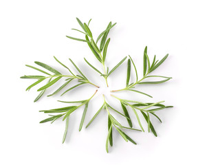 Naklejka premium Rosemary isolated on white background