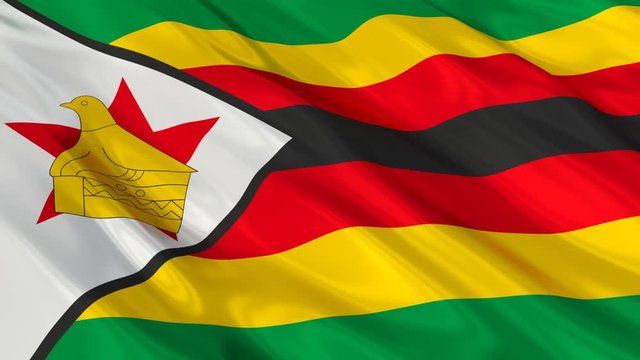 Zimbabwe Flag Waving. Seamless loop. 