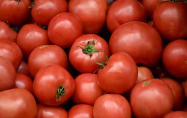 tomato