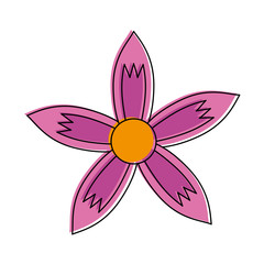 Beautiful flowers symbol icon vector illustration graphic design