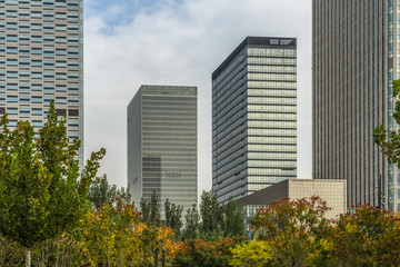 green garden in the Office area at Tianjin china.