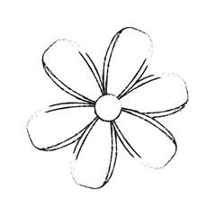 Beautiful flowers symbol icon vector illustration graphic design