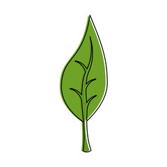 Leaf eco symbol icon vector illustration graphic design