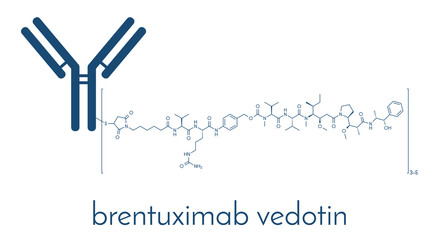 Brentuximab vedotin antibody-drug conjugate molecule. Consists of monoclonal antibody conjugated to 3-5 molecules of monomethyl auristatin E. Skeletal formula.