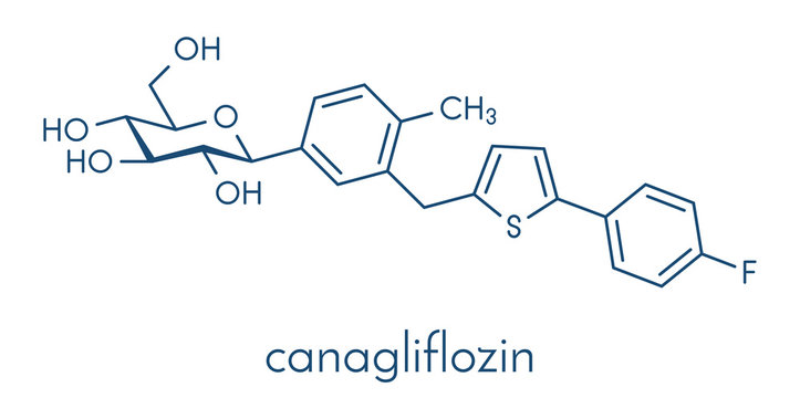 Canagliflozin diabetes drug molecule. SGLT2 inhibitor used in treatment of type II diabetes. Skeletal formula.