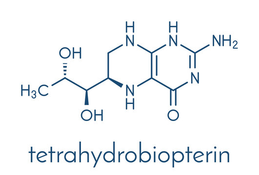 Tetrahydrobiopterin (sapropterin) phenylketonuria drug molecule. Cofactor to a number of aromatic amino acid hydroxylase enzymes. Skeletal formula.