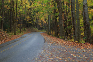 Obraz premium Fall Road, Great Smoky Mountains