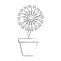 Sunflower in vase icon vector illustration graphic design