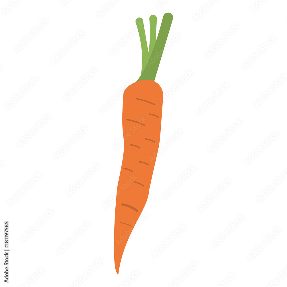 Sticker carrot fresh vegetable icon vector illustration graphic design