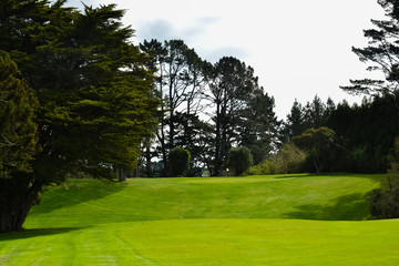 Fototapeta na wymiar New Zealand Golf Course green