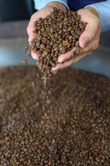 dried coffee beans