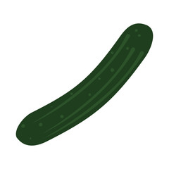 Cucumber fresh vegetable icon vector illustration graphic design
