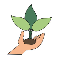 Plant growing in hand icon vector illustration graphic design