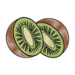Kiwi in half fruit icon vector illustration graphic design