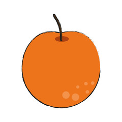 orange citric fruit icon vector illustration graphic design