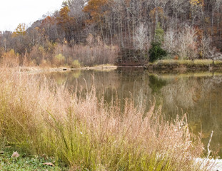 Backwaters at a park in West Virginia