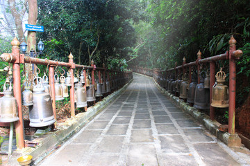 Path way through the entrance of temple at Chiang Rai, Thailand.