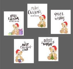 teddy with christmas hat and gift box